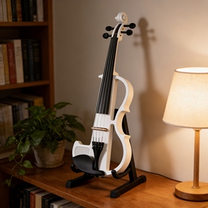 <span class=keywords><strong>Violon</strong></span> électrique professionnel <span class=keywords><strong>5</strong></span> <span class=keywords><strong>cordes</strong></span>, directement de l'usine - Haute qualité pour les spectacles sur scène et les festivals de musique - Product Image 1