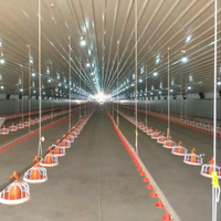 Cages d'élevage de volaille pour élevage de poules, 2 pièces, équipement, système de prix, broyeur automatique, batterie de poulet