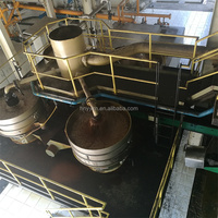 Automatische Industriële Palmolieverwerkingsmachine Voor Palmrode Olie