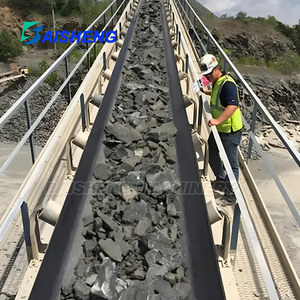 Baisheng Nhiệm Vụ Nặng Nề Td75 Vành Đai Băng Tải Hệ Thống 800Mm Chiều Rộng 50M Chiều Dài Có Thể Điều Chỉnh Tốc Độ 7.5KW Động Cơ Cho Than/Hạt/Tổng - Product Image 6