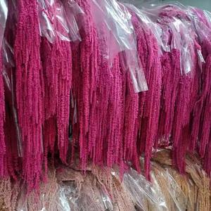 Decoración colgante de Punta larga de seda Everlasting Rouli, juego de boda suave, <span class=keywords><strong>cortinas</strong></span> de flores artificiales de flores secas de arroz colgantes - Product Image 4