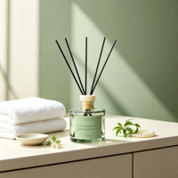 Diffuseur de parfum en rotin transparent, écologique, sans BPA, sans alcool, parfum longue durée pour la maison, les couloirs, les chambres, les salles de bain