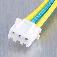Pemasok OEM disesuaikan TR301 1007 24AWG 20CM KF2510 2 PIN 2.54MM PITCH 2 P konektor kabel Harness kawat
