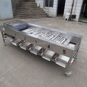 Máquina Profesional para Clasificar Cítricos | Máquina de Encerado para Cítricos y Manzanas | Máquina para Levantar, Limpiar y Secar Frutas - Product Image 1