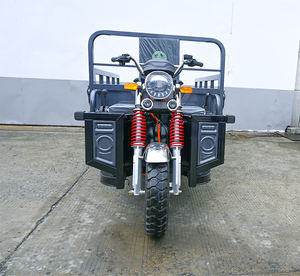 LB-3W2S tricycle cargo personnalisé grand tricycle électrique Turquie <span class=keywords><strong>prix</strong></span> 3 roues cargo tricycle à moteur pour la ferme <span class=keywords><strong>prix</strong></span> bon marché - Product Image 4