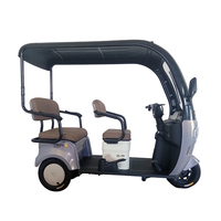 2025 pas cher 3 roues E cyclomoteur 650w Tricycle électrique avec auvent pour adulte