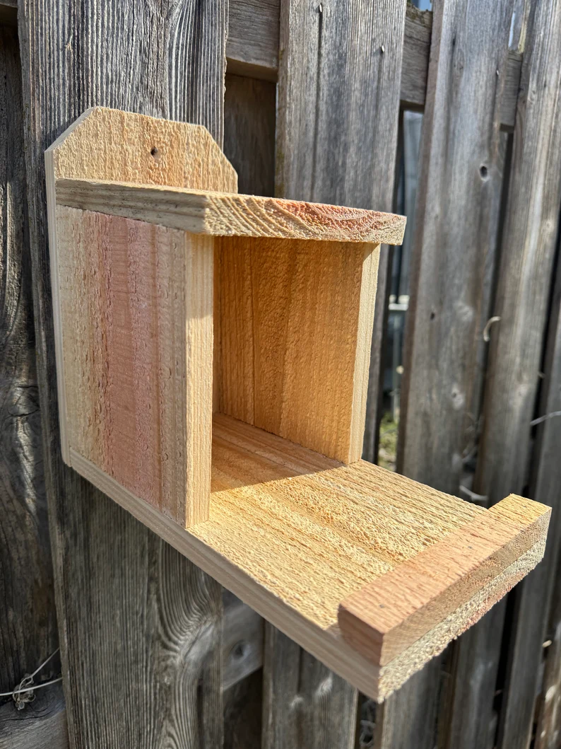 birds nesting box plastic