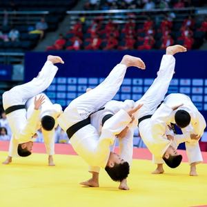 Tapis de judo Hydefoam multi-sports pour arts martiaux IJF, taekwondo, <span class=keywords><strong>jujitsu</strong></span> et karaté, logo personnalisé accepté, antidérapant, imperméable - Product Image 6