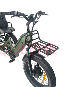 QUEENE di alta qualità 3 ruote Cargo E-triciclo grasso pneumatico caccia <span class=keywords><strong>bicicletta</strong></span> <span class=keywords><strong>elettrica</strong></span> <span class=keywords><strong>con</strong></span> mozzo anteriore del motore 48V batteria al litio - Product Image 4