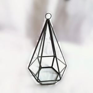 Tự Làm Tabletop Không Thường Xuyên <span class=keywords><strong>Glass</strong></span> Hình Học Cây Không Khí <span class=keywords><strong>Terrarium</strong></span> Hộp Máy Tính Để Bàn Kính Hiển Thị Trồng Cây Mọng Nước Hộp Hoa - Product Image 5