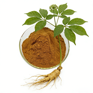 Ginsenosidos Raros con una Pureza Mínima del 70%, 16 Tipos de Ginsenosidos Raros, Extracto de Ginseng, Materia Prima, Fabricante - Product Image 1