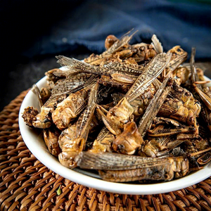 Sfogliatrici Essiccate Intere, Insetti Essiccati, Mangime per Animali, Mangime per Uccelli, Prodotto Agricolo Primario, Durata di Conservazione 12 Mesi - Product Image 3