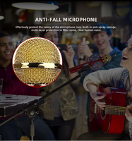 Haut-parleur de microphone de karaoké sans fil USB portable ws1816 pour la promotion de cadeaux de Noël
