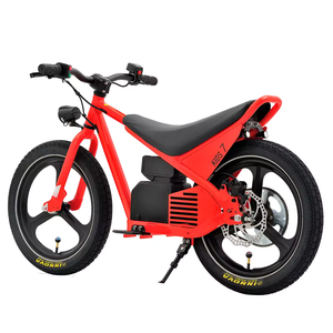 Bicicleta Eléctrica Infantil JYOP-SMKID con Motor sin Escobillas de 24V y 150W, 1 Velocidad, Batería de Litio de 4.2Ah, Cuadro de Aluminio, Frenos de Disco Hidráulicos, 20km/h de Velocidad Segura - Product Image 2