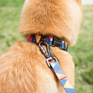 Calidad de sublimación estampado Collar de perro y correa set Venta caliente <span class=keywords><strong>en</strong></span> <span class=keywords><strong>Amazon</strong></span> - Product Image 5