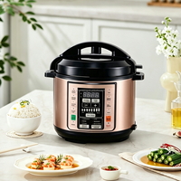 CE ROHS LFGB CB 4 L 5 L 6 L 8 L 10 L 12 L Mini autocuiseur électrique multifonctionnel