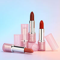 Nouveauté Rouge à lèvres rose mat chatoyant Haute qualité crémeux imperméable marron vegan nude velours rouge à lèvres longue durée