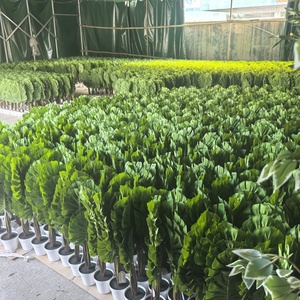 Plante artificielle Monstera en pot de 80 cm (31,5 po) au toucher réel pour la décoration de la maison, du bureau et de l'hôtel – Plante réaliste imitation Swiss Cheese - Product Image 6