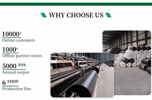 Manta agrícola negra para control de malezas, tela antihierbas, cubierta para el suelo, tela protectora contra malezas, marca <span class=keywords><strong>CHAQ</strong></span> Shandong - Product Image 5