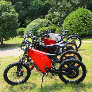 Bicicleta Eléctrica Enduro, 12000w, suspensión completa, 12000 vatios - Product Image 2