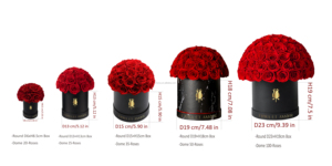 Scatola Regalo Rotonda di Lusso con 100 Rose Eterne Preservate a Forma di Cupola, Etichetta Privata, per San Valentino - Product Image 6