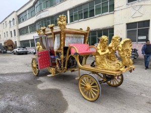 Châu âu thanh lịch công chúa giấc mơ bí ngô đám cưới xe điện nhà máy bán hàng trực tiếp đám cưới vận chuyển - Product Image 3