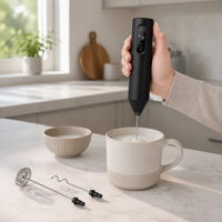 Mousseur à lait électrique personnalisé sans MOQ, batteur à œufs portatif rechargeable Type-C, fouet 3 vitesses pour petites entreprises