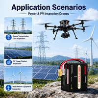 Smart BMS 42000mAh 46.2V 8C Baterai LiCoO2 Semi-solid State dengan Proteksi Pengisian Berlebih untuk Armada Drone OEM Custom Plug