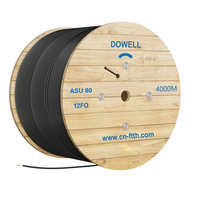 8F 10F 12F GYFFY TWO FRP Outdoor G.652D Self-Supported Aerial Fiber Optic Cable
