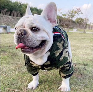 เสื้อโค้ทสุนัขพันธุ์ชเนาเซอร์แบบทันสมัย ผลิตจากโพลีเอสเตอร์บุใยสังเคราะห์ เป็นมิตรต่อสิ่งแวดล้อม ขายส่งจากโรงงาน เหมาะสำหรับฤดูใบไม้ผลิ ฤดูร้อน ฤดูใบไม้ร่วง และฤดูหนาว - Product Image 5