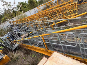 Gru a Torre Usata <span class=keywords><strong>Zoomlion</strong></span> <span class=keywords><strong>Heavy</strong></span> <span class=keywords><strong>Industry</strong></span> QTZ80 5610 con Braccio Piatto, 6t, Lunghezza Braccio 56m, Motore Cinese, Vendita a Basso Prezzo - Product Image 3