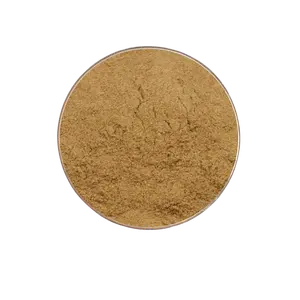 Extrait de graines de coriandre naturel pur extrait de coriandrum sativum séché extrait de graines de coriandre biologique