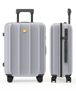 Prêt à expédier <span class=keywords><strong>valise</strong></span> cabine à la mode argent bagages à main ensembles TSA serrures Spinner <span class=keywords><strong>valise</strong></span> 20 pouces - Product Image 1