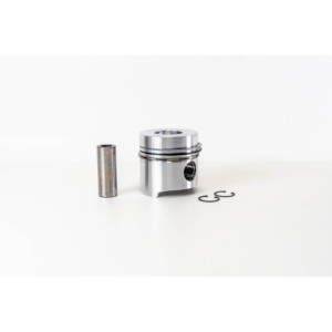Pistones compatibles con IVECO 0079700 - Product Image 1