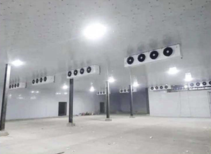 Offre Spéciale mini congélateur solaire pour chambre froide Chambre Froide Food Freezer Room container 20 pieds Cold Storage Chiller Room à vendre - Product Image 2