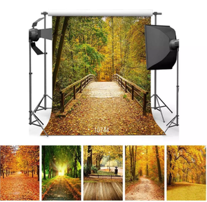 Autunno foresta 3D vinile sfondo di fotografia sfondo di legno ponte stampato con Computer in Studio foto - Product Image 4