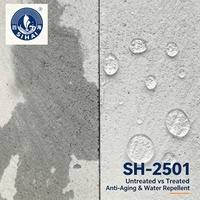 SH-2501 Nano-oligomerik Silikon Penolak Air untuk Perawatan Permukaan Substrat Batu Bata