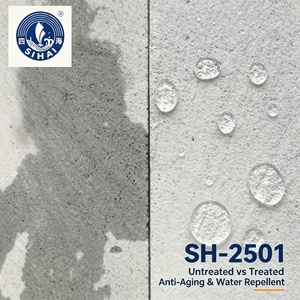 SH-2501 Silicone nano-oligomérique hydrofuge pour le <span class=keywords><strong>traitement</strong></span> des surfaces de substrat en maçonnerie - Product Image 4