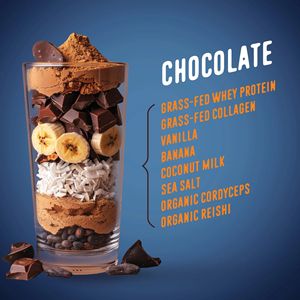 Proteine in Polvere OEM All-in-<span class=keywords><strong>One</strong></span> da Latte Grass-Fed con 25g Proteine e 10g Collagene, Gusto Cioccolato, Sostituto del Pasto - Product Image 2