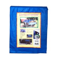 Ruban de Couleur Blanche Personnalisé Feuilles de Bâche Double Côtés Stratifiés En Plastique Tissu Bâche En Poly Imperméable Exportation Vers L'afrique