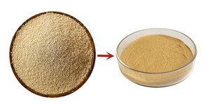 Chất lượng cao phụ gia thực phẩm chiết xuất men bột cấp thực phẩm - Product Image 4