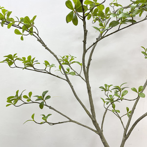 Nueva Decoración de Plástico con Forma de Árbol de Flores de Primavera para Diseño de Paisajes, Recomendado por Floristas - Product Image 2