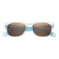 Lunettes de soleil polarisées carrées tendance, verres transparents, lunettes de soleil en acétate, lunettes de soleil transparentes, lunettes de soleil personnalisées avec logo