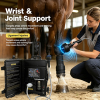 Appareil de thérapie par ondes de choc pour chevaux, thérapie par ondes de choc focalisées pour la récupération et la performance des chevaux de course, certifié CE RoHS