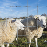 Panneaux galvanisés à haute résistance personnalisés de clôture de joint de charnière de bétail de 6ft 7ft 100m panneaux de clôture de bétail de ferme/barrière électrique pour le bétail