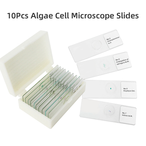 Lames de microscope cellulaire d'algues FRT3002 <span class=keywords><strong>Lichen</strong></span> Thallus Anabaena Biologie Enseignement Recherche Algues 10 articles Lames Botanique Verre - Product Image 2