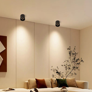 Có thể điều chỉnh 8W 14W tại chỗ Trần xuống ánh sáng AC220V <span class=keywords><strong>COB</strong></span> downlights Spotlight Bề mặt xi lanh <span class=keywords><strong>Led</strong></span> Downlight cho chiếu sáng trong nhà - Product Image 6