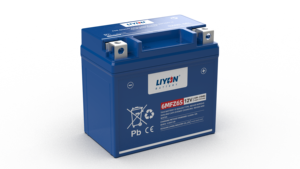 2 륜 자전거 긴 저장 배터리 용 고성능 12V 오토바이 배터리 납산 <span class=keywords><strong>AGM</strong></span> 배터리 - Product Image 3