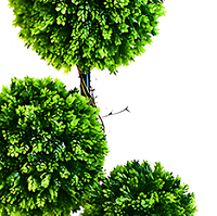 Décoration extérieure intérieure populaire cyprès artificiel pin bonsaï pot de plante sphérique pour jardin maison