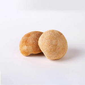 Vente en gros Capsules à base de plantes avec étiquetage blanc de marque privée 90 lions Mane Capsules 500mg - Product Image 4